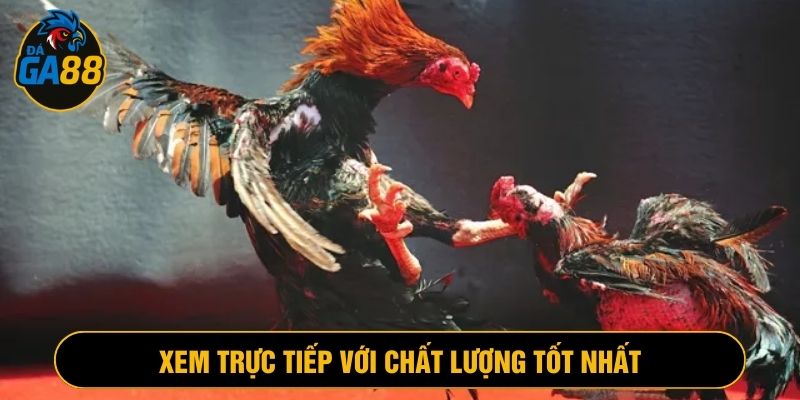 Xem trực tiếp thi đấu tại Ga88 với chất lượng tốt nhất