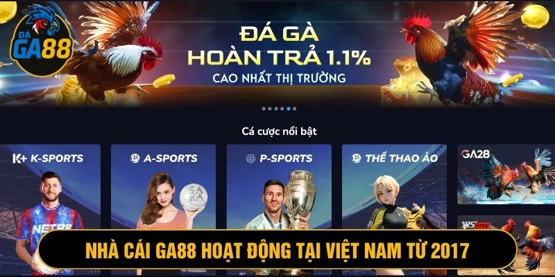 Nhà cái đá gà trực tuyến tại Việt Nam với gần 10 năm hoạt động