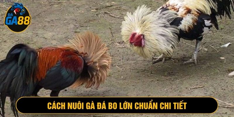 Việc tập luyện cọ sát cần đòi hỏi chương trình sát sao