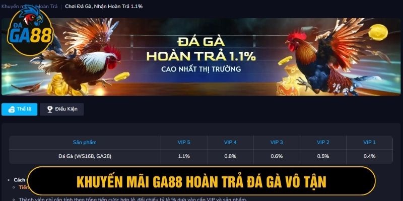 Hoàn trả đá gà Ga88 là tâm điểm thu hút với giá trị hấp dẫn