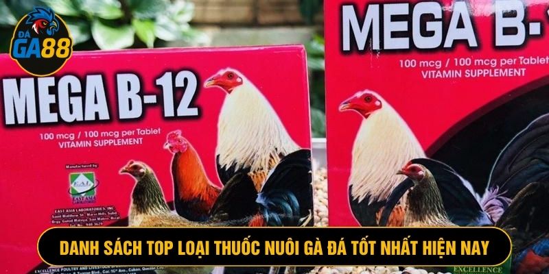 Mega-Boom là dòng thuốc hiệu quả khi dùng cho gà đá