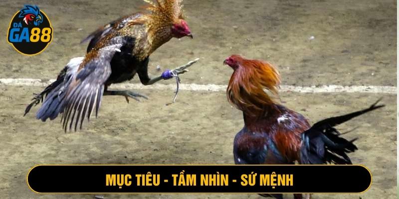 Về chúng tôi với những mục tiêu, tầm nhìn và sứ mệnh cụ thể