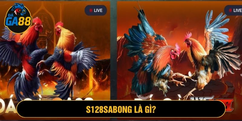 s128sabong là trường gà nổi tiếng cung cấp trận đấu cho Ga88